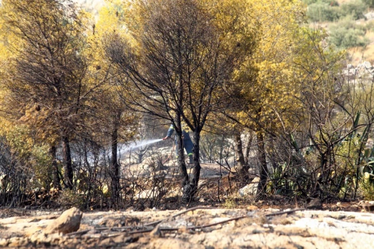 Μεσολόγγι: Φωτιά μαίνεται κοντά στον αρχαιολογικό χώρο των Οινιαδών
